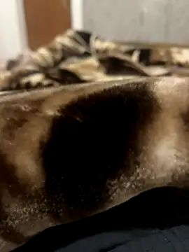 Snapshot of bigshow112 chatting on November 13, 4:22 am bigshow112 online show from November 13, 4:22 am