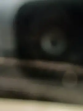 Snapshot of hornydick4you chatting on March 2, 10:56 am hornydick4you online show from March 2, 10:56 am