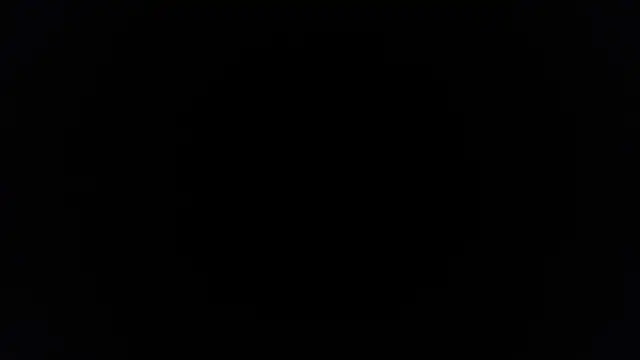 palidin1 online show from November 25, 10:37 am