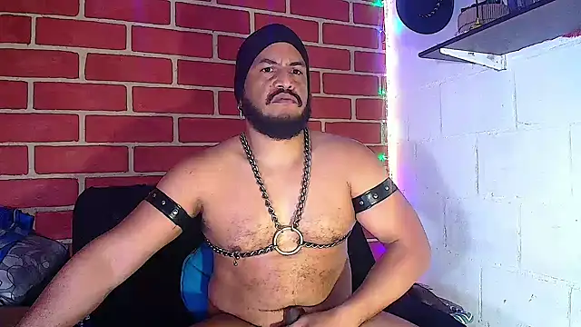 the master foal  online show from January 14, 2:00 pm