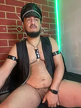 the master foal  online show from February 10, 3:27 pm