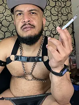 the master foal  online show from March 7, 10:01 am