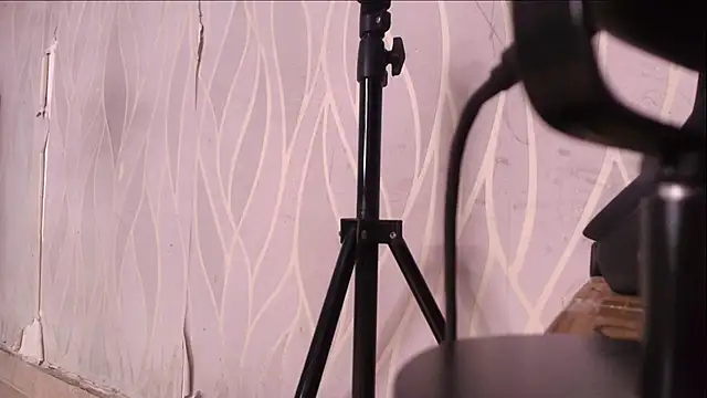 Snapshot of lay_navas chatting on November 10, 7:13 pm lay navas online show from November 10, 7:13 pm