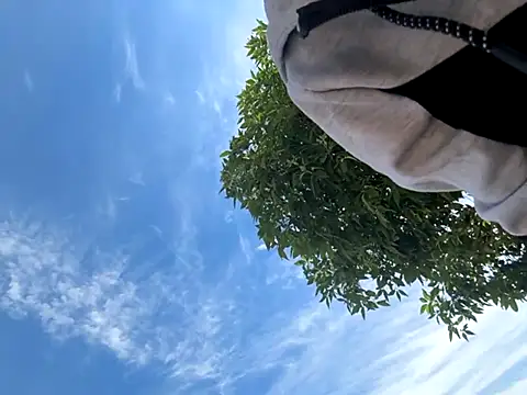 kingdennis6666 online show from September 17, 7:26 pm