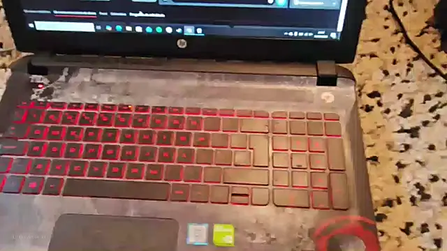 made in brazil online show from January 11, 8:47 pm