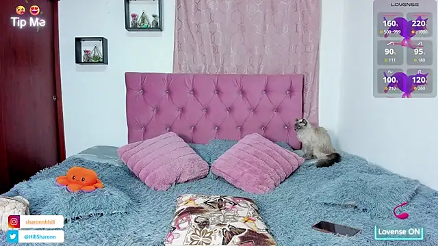 sharon hill online show from October 3, 2:19 am