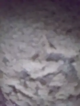 Snapshot of king-lobo-act chatting on October 29, 2:19 pm king-lobo-act online show from October 29, 2:19 pm