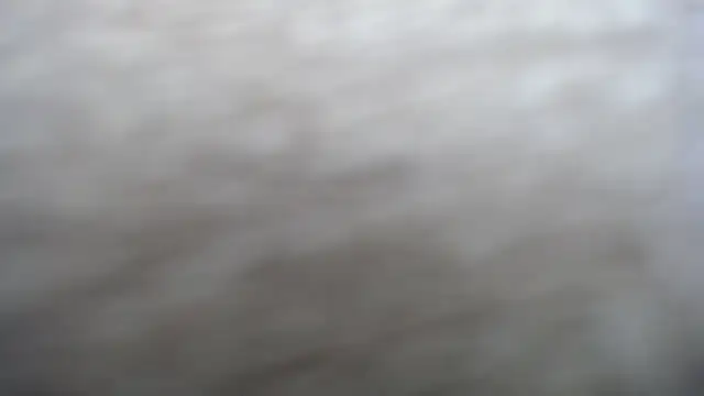 DAPHNE doll online show from September 15, 3:23 pm