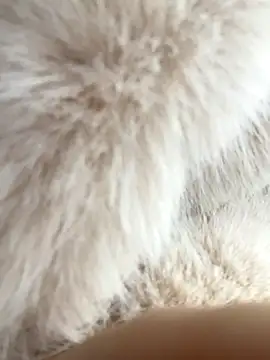 Feral berry 8133 online show from December 2, 6:20 am