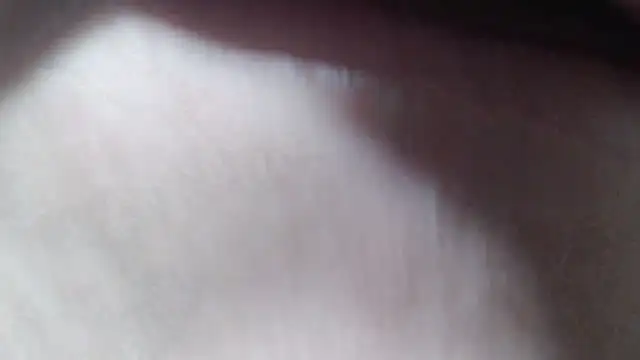 selenax2023 online show from October 9, 1:47 am