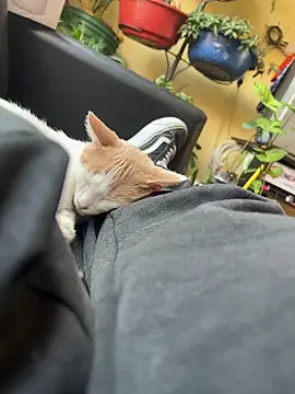 Snapshot of Lilmarieee chatting on February 24, 4:15 pm Lilmarieee online show from February 24, 4:15 pm