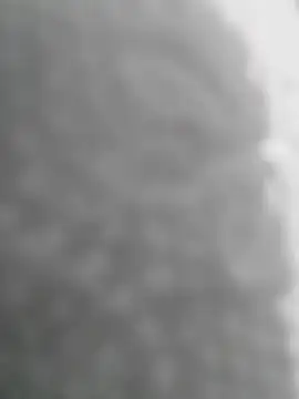 Sexilvenia online show from May 15, 10:28 pm