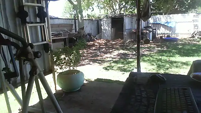 herbie010666 online show from December 2, 3:56 am