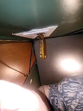 Snapshot of Loosegoose90 chatting on February 27, 5:29 am Loosegoose90 online show from February 27, 5:29 am