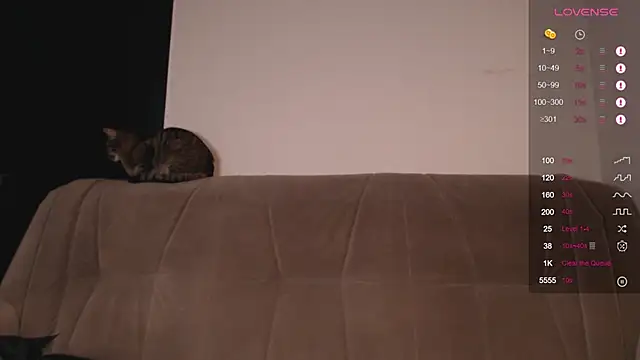 Snapshot of Herman_Elfi chatting on January 14, 2:29 am Herman Elfi online show from January 14, 2:29 am