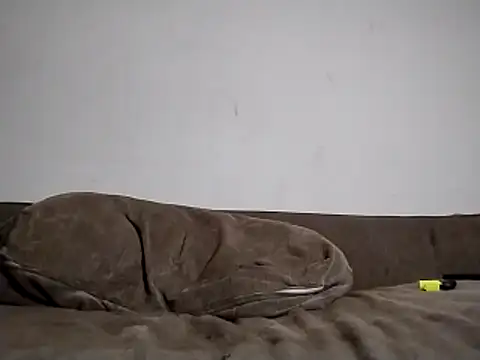 247Srokin online show from March 15, 8:31 am