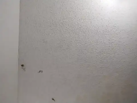 247Srokin online show from April 1, 11:00 am