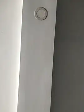 Snapshot of ElsecretodeBruno chatting on February 18, 6:15 pm ElsecretodeBruno online show from February 18, 6:15 pm