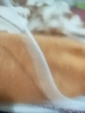 naghmi12 online show from April 13, 5:51 pm