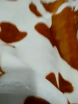 naghmi12 online show from April 18, 1:04 pm