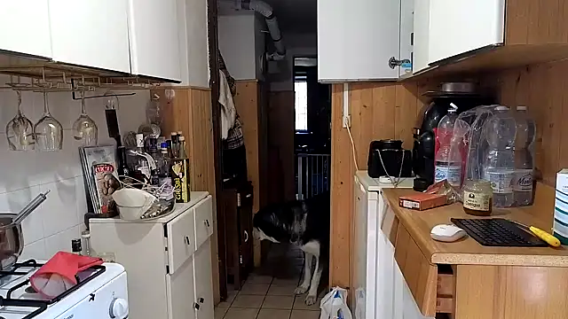 VanessaDoyle online show from February 26, 8:57 am