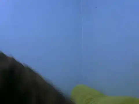 Forsia online show from February 6, 5:57 am