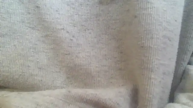 Snapshot of OralDesires2 chatting on February 17, 3:20 pm OralDesires2 online show from February 17, 3:20 pm