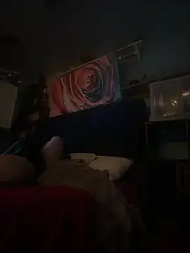 Snapshot of AshtonChicken chatting on February 20, 6:26 am AshtonChicken online show from February 20, 6:26 am