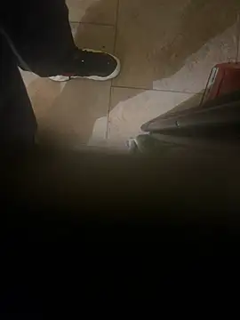 Snapshot of dingoding chatting on January 8, 4:44 am dingoding online show from January 8, 4:44 am