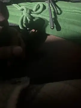 Snapshot of dingoding chatting on January 11, 11:34 am dingoding online show from January 11, 11:34 am