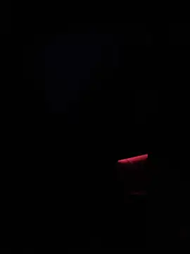 Snapshot of dingoding chatting on January 14, 2:50 am dingoding online show from January 14, 2:50 am