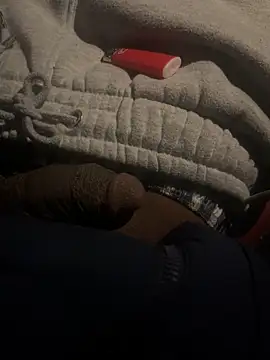 Snapshot of dingoding chatting on February 22, 1:44 am dingoding online show from February 22, 1:44 am