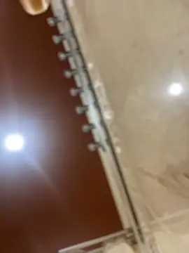 Snapshot of dingoding chatting on March 21, 6:51 pm dingoding online show from March 21, 6:51 pm