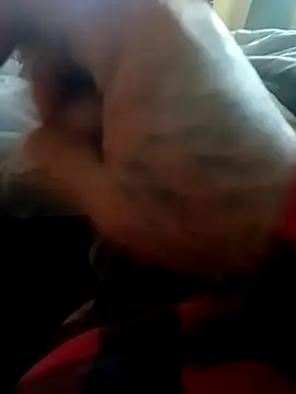 Snapshot of yellowwetfox chatting on November 22, 9:58 pm yellowwetfox online show from November 22, 9:58 pm