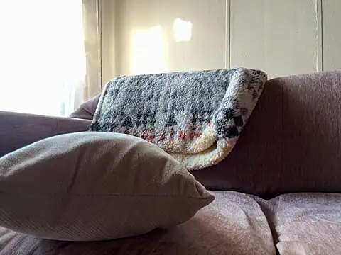 dk2995 online show from March 5, 2:56 pm