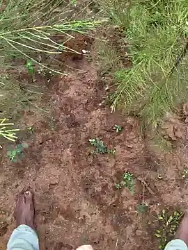 Gopal1243 online show from December 9, 3:29 am