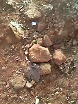 Gopal1243 online show from December 15, 2:08 am