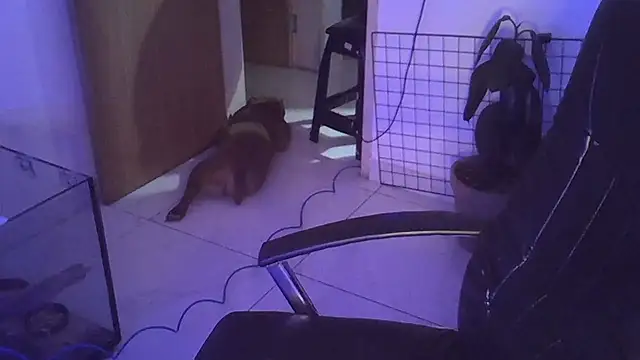 myamillor online show from December 14, 1:17 am