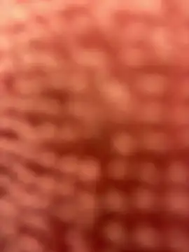 BigFineSelena online show from January 11, 3:09 pm