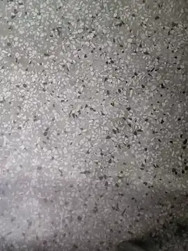 Snapshot of Rajibsorkar20 chatting on January 16, 9:19 pm Rajibsorkar20 online show from January 16, 9:19 pm