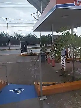 sagrado 1989 online show from January 12, 10:04 pm