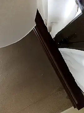 Snapshot of White_rabbit_ chatting on December 11, 4:53 pm White rabbit  online show from December 11, 4:53 pm