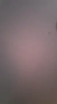 Maxmusterman20023 online show from January 18, 1:41 am