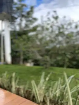 Snapshot of sahorix1 chatting on February 16, 3:30 pm sahorix1 online show from February 16, 3:30 pm