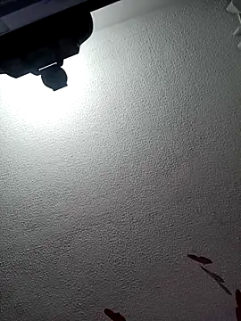 Deina bunny online show from February 20, 6:57 pm