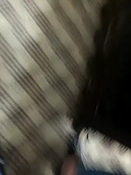 Snapshot of hotdickhow chatting on March 8, 3:35 pm hotdickhow online show from March 8, 3:35 pm