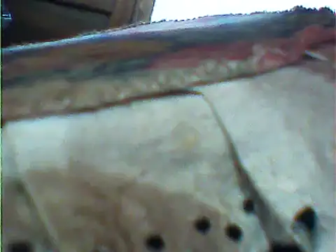 Snapshot of messi_syssy chatting on February 25, 10:58 am messi syssy online show from February 25, 10:58 am