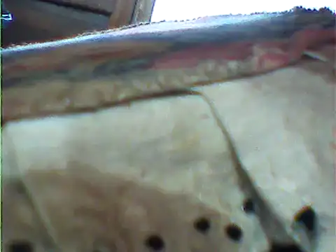 Snapshot of messi_syssy chatting on February 25, 2:00 pm messi syssy online show from February 25, 2:00 pm