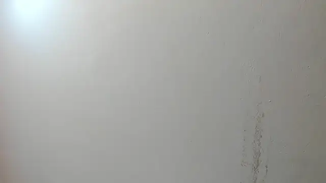 Snapshot of sarita_loven chatting on July 17, 5:03 am sarita loven online show from July 17, 5:03 am