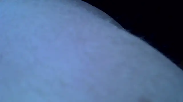 Snapshot of Mariomario0565 chatting on January 31, 8:11 am Mariomario0565 online show from January 31, 8:11 am